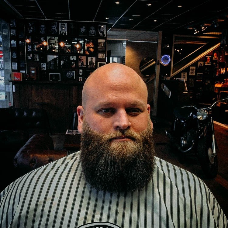 Beard and Bald Head