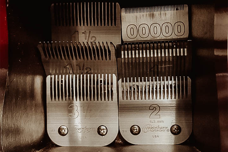 Your A to Z Guide on Oster Classic 76 Blades (2023 Update)