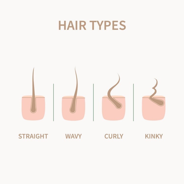 Hair Types Infographic