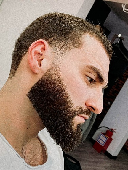 Ducktail Beard Style
