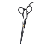 Aszwor Hairdressing Shears